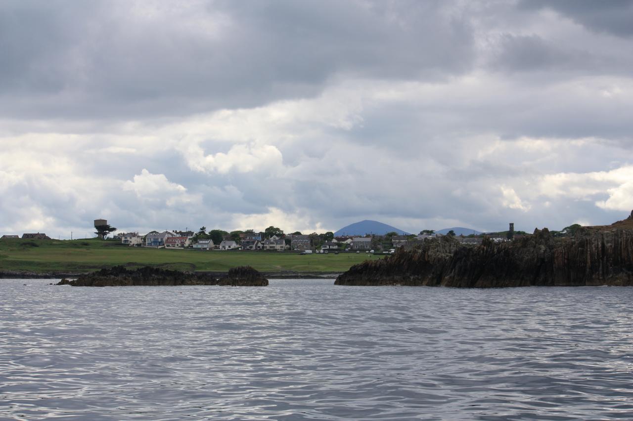 Ringfad B&B Ardglass Exterior foto